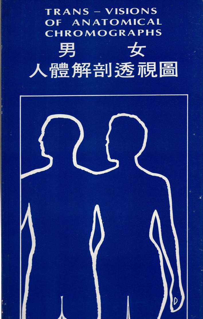 男女人體解剖透視圖（醫001）