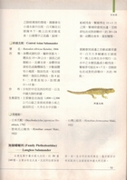 脊椎動物百科全書試閱-4