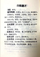 中國草藥手冊（醫070）試閱-6