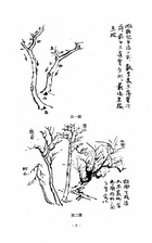 中國畫基本繪法（藝001）試閱-8